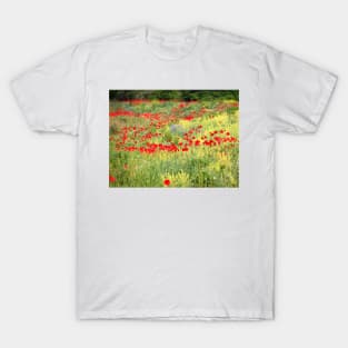 Roadside Glory T-Shirt